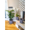 Kulplu Yuvarlak Düzenleyici Çok Amaçlı Kolay Taşınabilen Organizer Keçe Sepet (mini) 03662