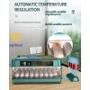 Kuluçka Makinesi 130 Tavuk Yumurtalı Extra Yedek Motorlu İncubator