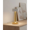 Modern Altın Gövdeli Led Masa Lambası 3 Işık Modlu