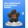 Müzikli Boks Duvar Paneli Akıllı Işık Sistemli Refleks Ve Kondisyon Aleti