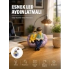 Okuyan Çift Figürlü Dekoratif Gece Lambası Hediye Seçeneği