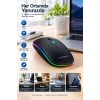 Pg9009 Mouse