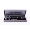 Pilli Yeşil Lazer Pointer Bigem Bm-521