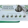White Sage Cleansing Collection Hexa Gift Pack