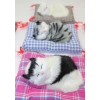 Yastıkta Uyuyan Kedi Sesli Alk25