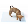 Yıkanabilir Köpek Çiş Pedi - 90 X 60 Cm (599)