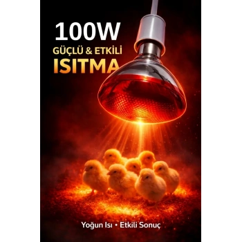 100w Isıtıcı Ampul Kırmızı Isı Lambası Civciv Kümes Kuluçka E27 Duy Isıtma Ampulü