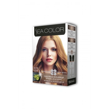 2 Tüp Krem Saç Boyası Seti Karamel No:8.73 (599)