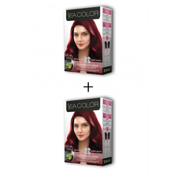 2X2 Tüp Krem Saç Boyası Seti Ateş Kızılı No:66.46 (599)