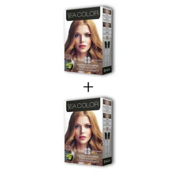 2X2 Tüp Krem Saç Boyası Seti Karamel No:8.73 (599)