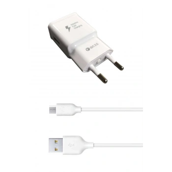 Android Mikro Uçlu Hızlı Şarj Aleti 3.1A 1 Metre Kablolu Hızlı Şarj Cihazı (599)