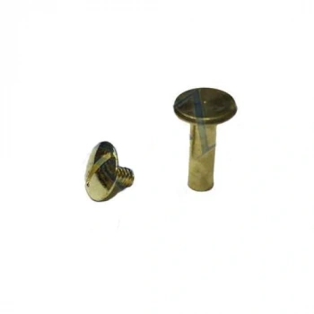 Byhodi Cilt Menü, Katalog, Kartela Vidası, 13mm - Sarı, 100 Adet (599599)