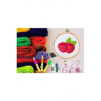 Punch Seti Nakış Seti Kasnaklı Kendin Yap Seti Seri 144