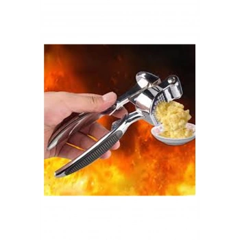 Lüks Metal Sarımsak Zencefil Ezici (599)