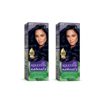 Naturals Saç Boyası Böğürtlen Siyahı 2/8 2X Paket (599)