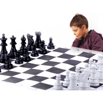 Okullara Özel Satranç Takımı (599)