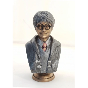 Polyester Harry Potter Büst Küçük 235