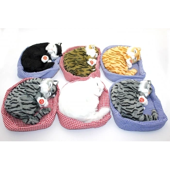 Yastıkda Uyuyan Horlayan Kedi Sesli Alk3416