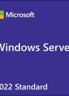 DELL WINDOWS SERVER 2022 STANDARD 16 CORES W2K22STD-ROK - 634-BYKR