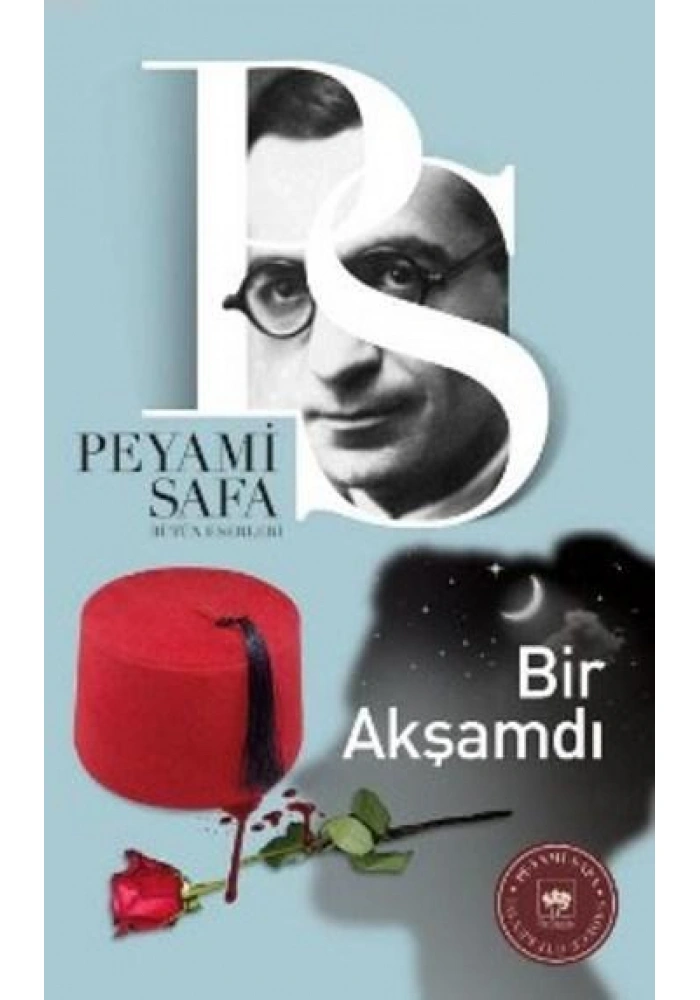Bir Akşamdı