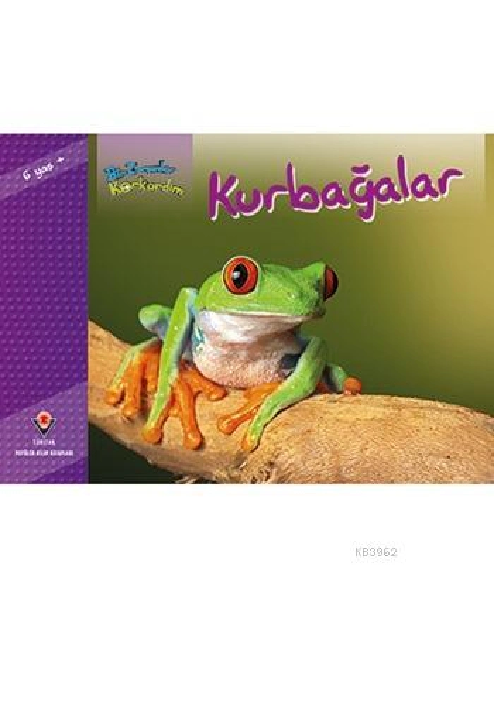 Bir Zamanlar Korkardım - Kurbağalar