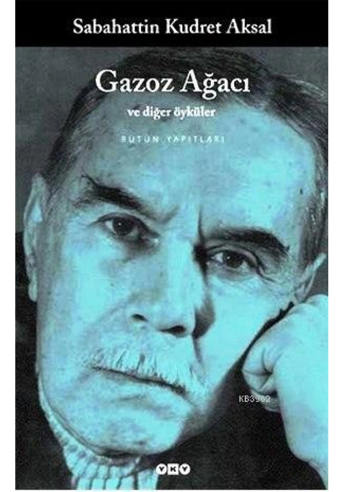 Gazoz Ağacı ve Diğer Öyküler