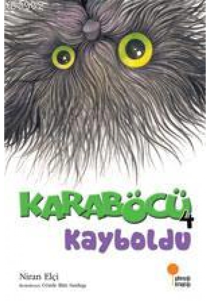 Karaböcü 4 - Kayboldu