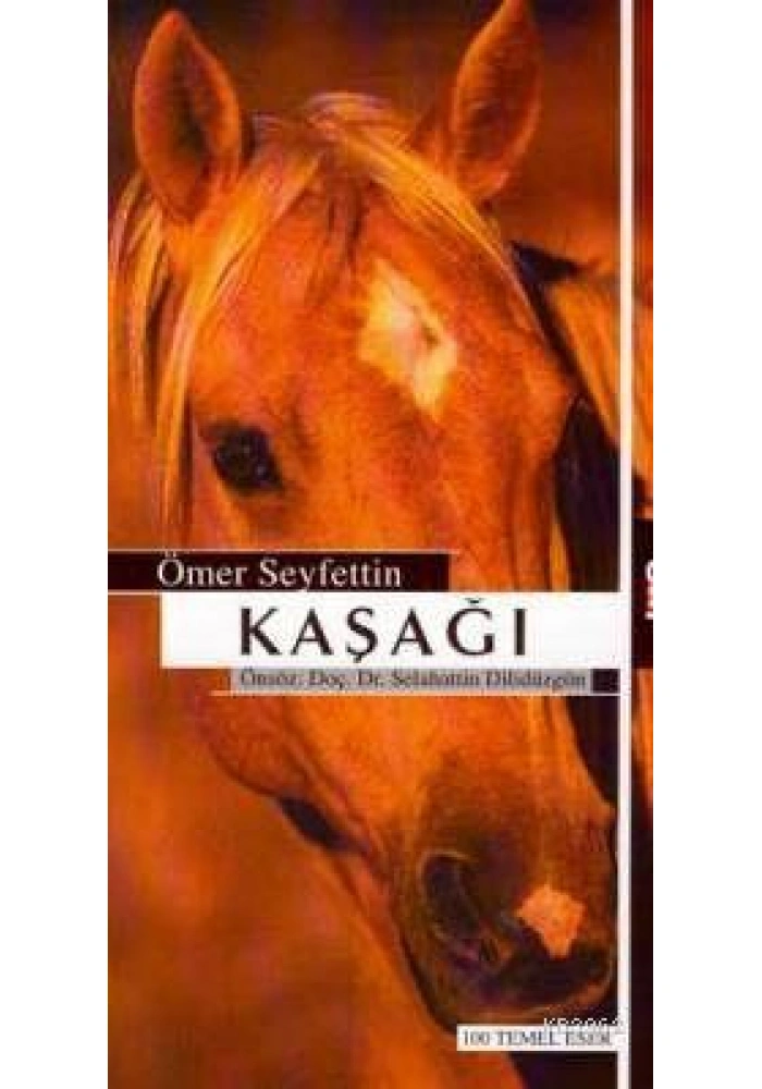 Kaşağı