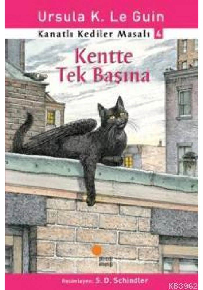 Kentte Tek Başına; Kanatlı Kediler Masalı 4