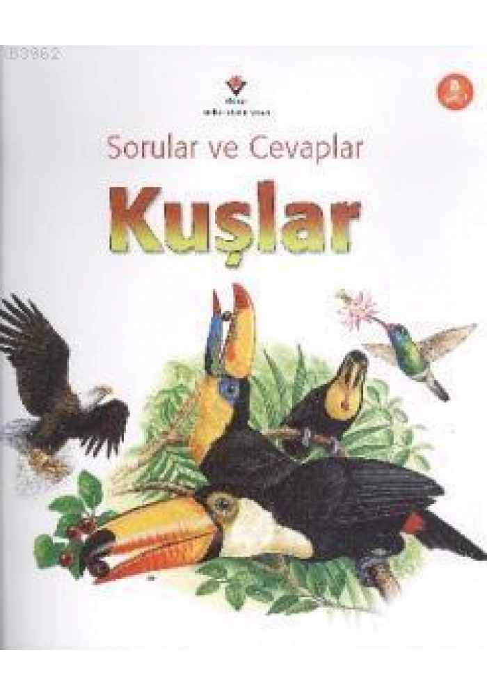 Sorular ve Cevaplar - Kuşlar