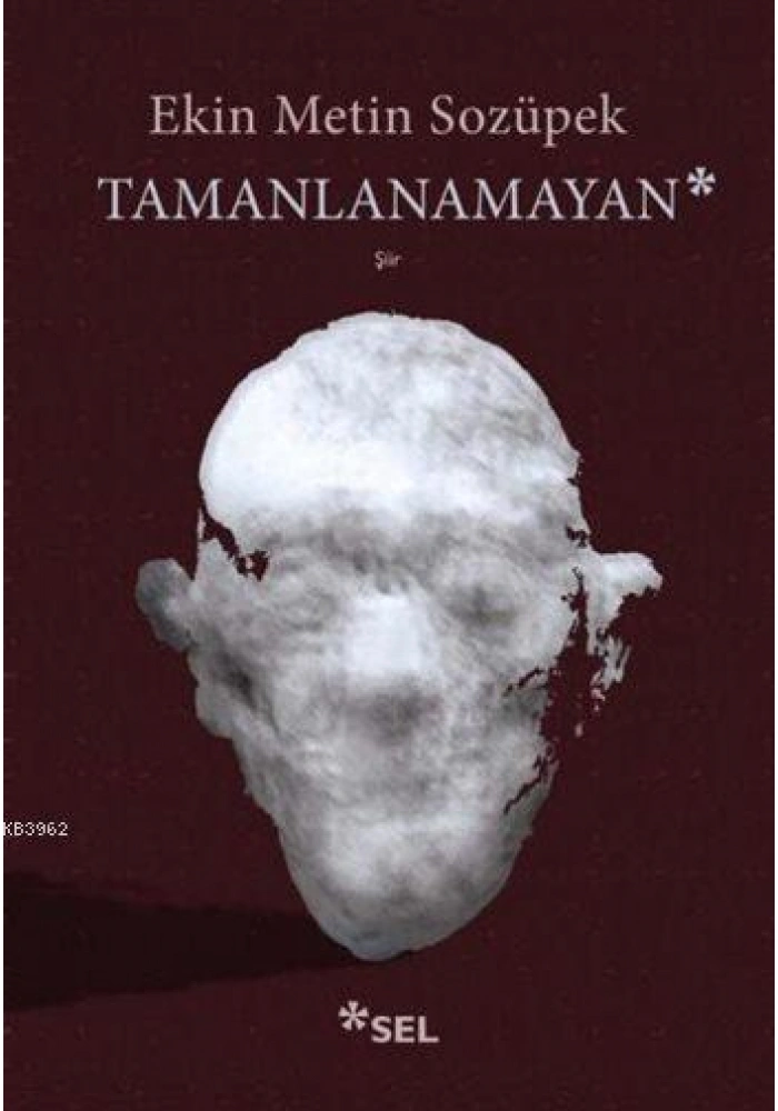 Tamanlanamayan