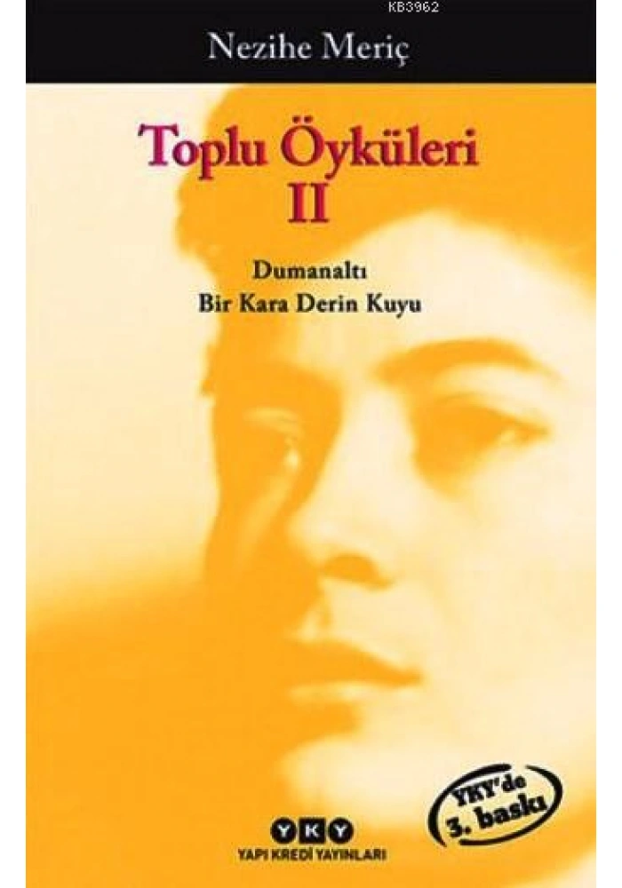 Toplu Öyküleri 2; Bütün Yapıtlarına Doğru