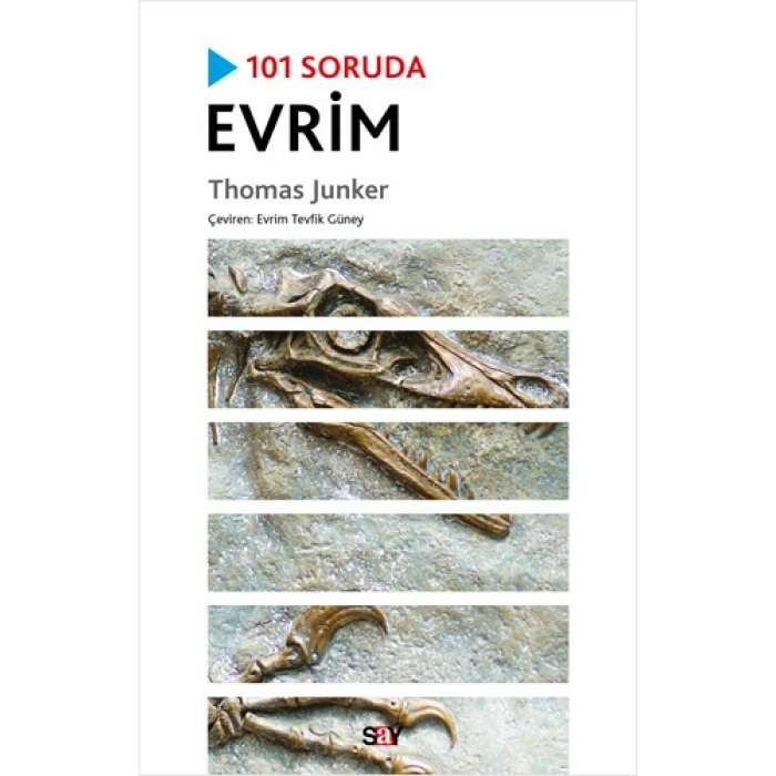 101 Soruda Evrim