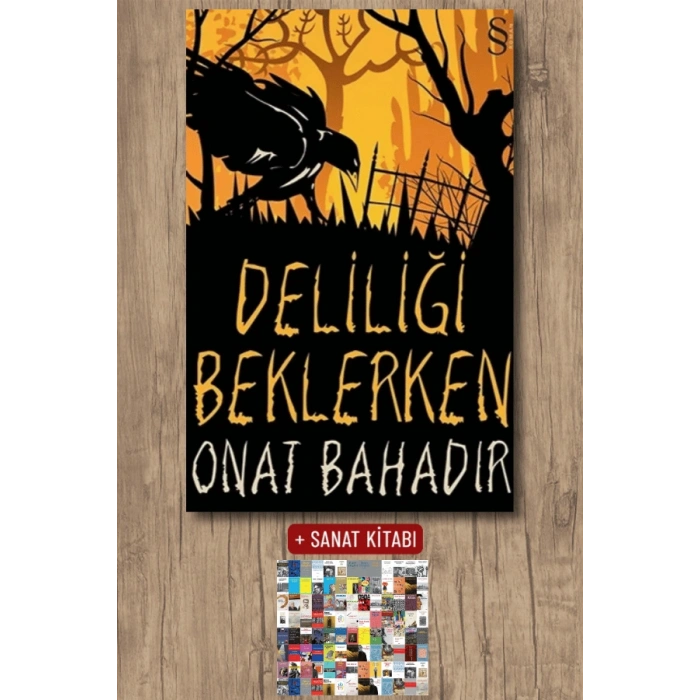 Deliliği Beklerken / Onat Bahadır + Sanat Kitabı