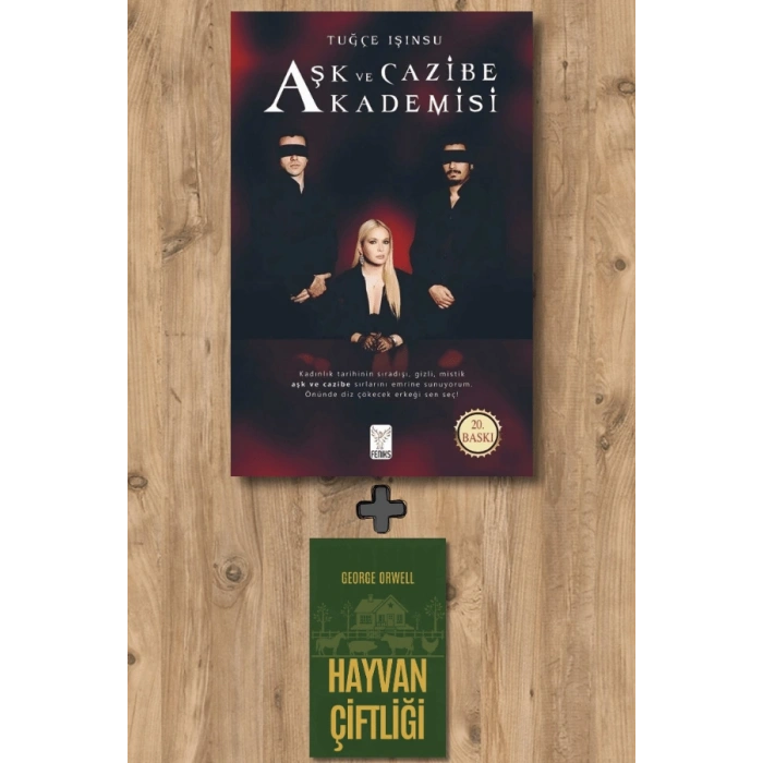 Aşk ve Cazibe Akademisi