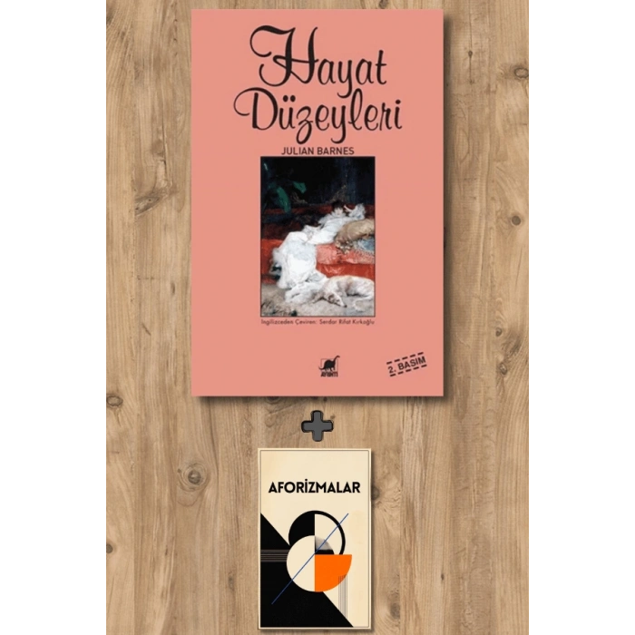Sanat Kitabı + Hayat Düzeyleri / Julian Barnes