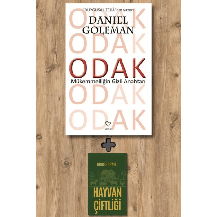 Odak
