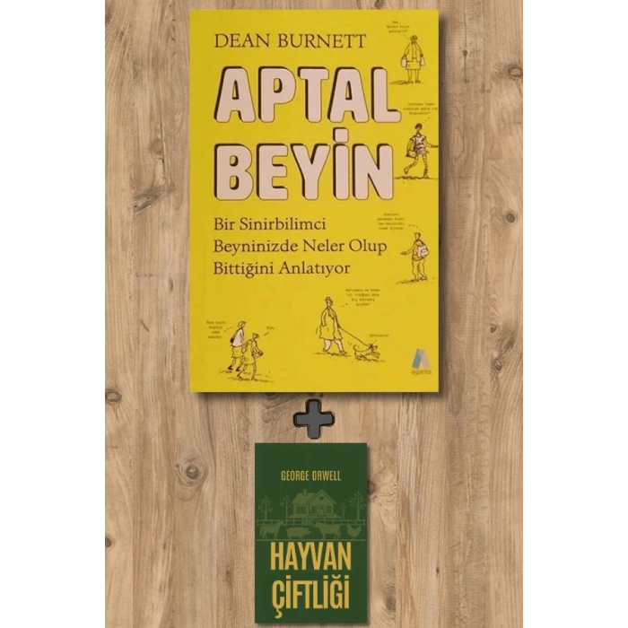 Aptal Beyin