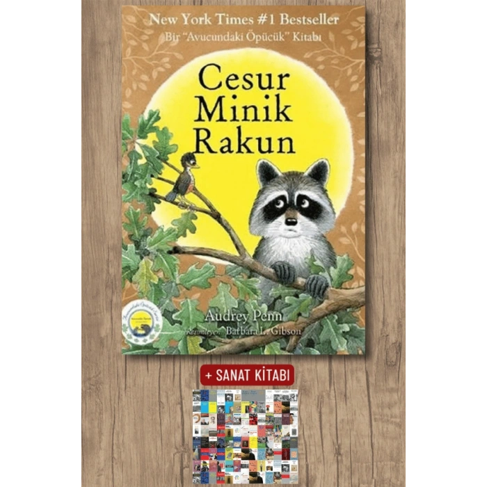 Cesur Minik Rakun