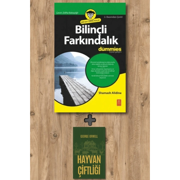 Bilinçli Farkındalık for Dummies