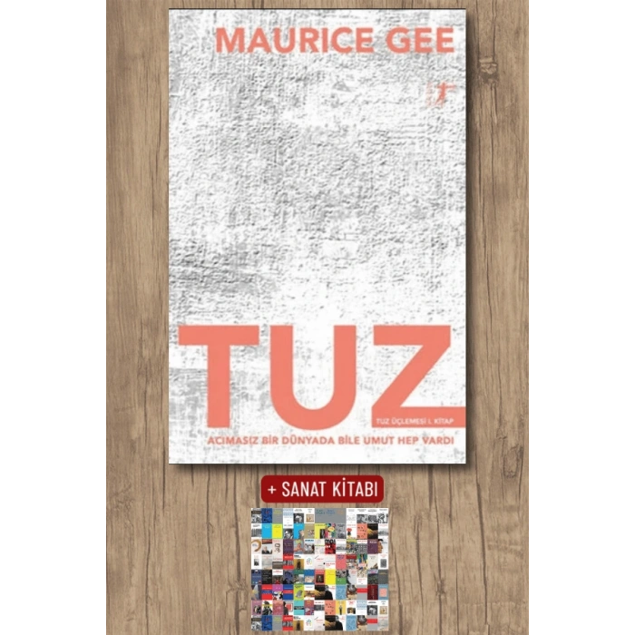 Tuz / Maurice Gee + Sanat Kitabı