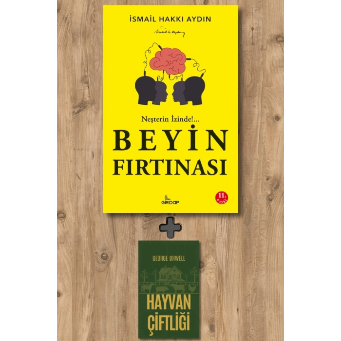 Beyin Fırtınası