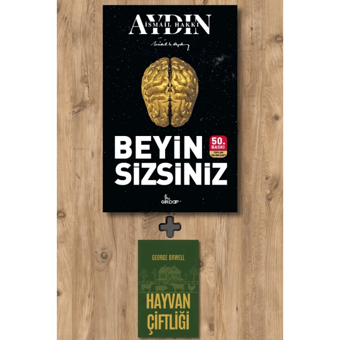 Beyin Sizsiniz