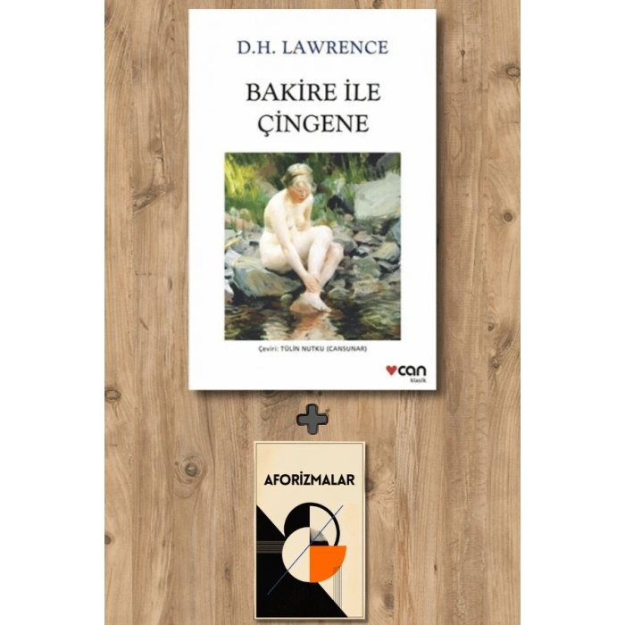 Sanat Kitabı + Bakire ile Çingene / D.H. Lawrence