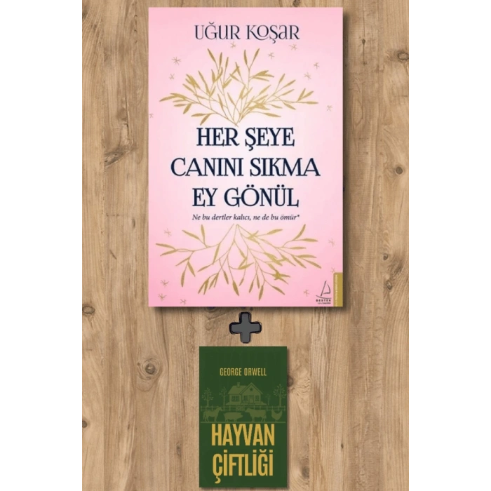 Her Şeye Canını Sıkma Ey Gönül