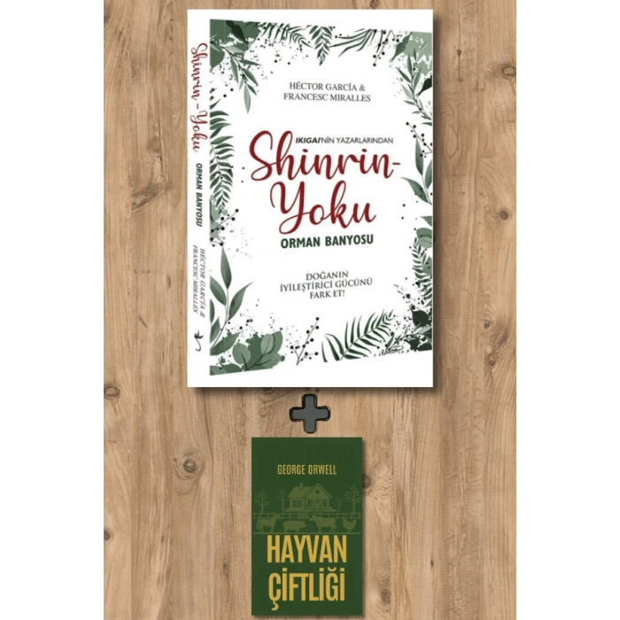 Shinrin Yoku - Orman Banyosu