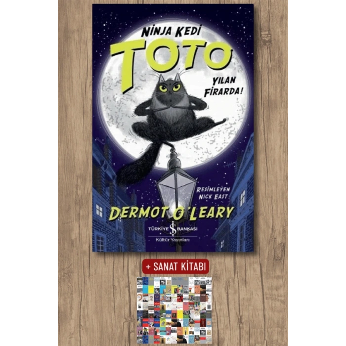Ninja Kedi Toto