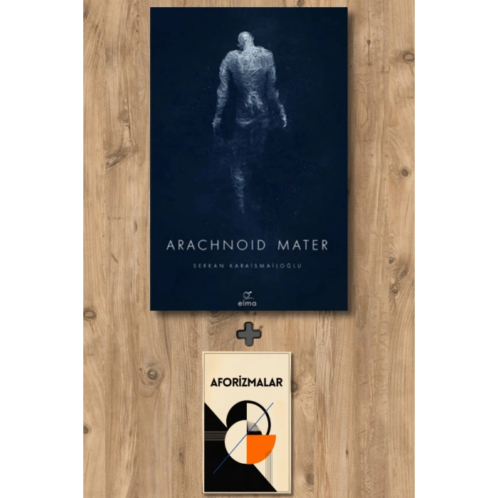 Arachnoid Mater