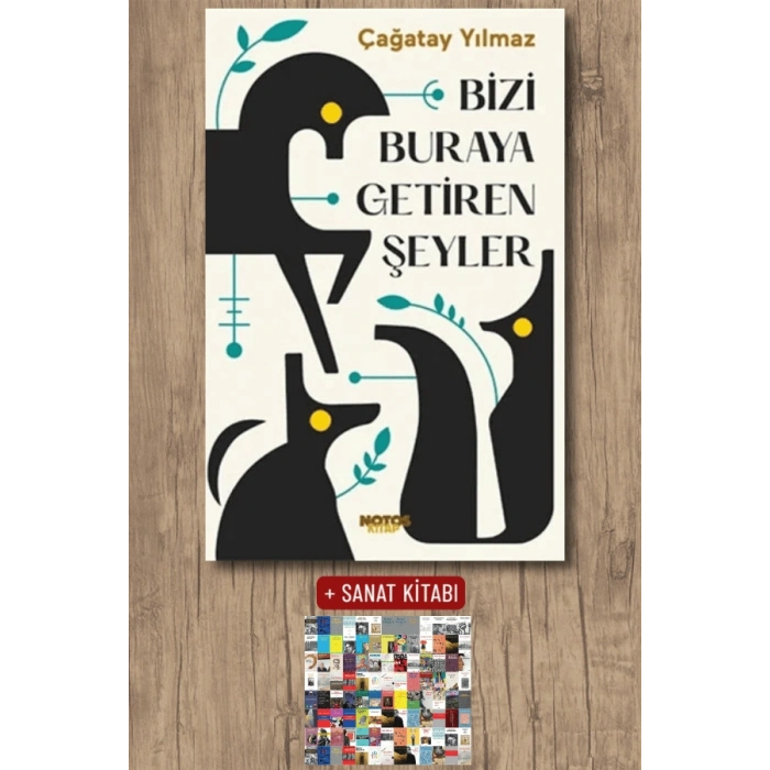 Bizi Buraya Getiren Şeyler