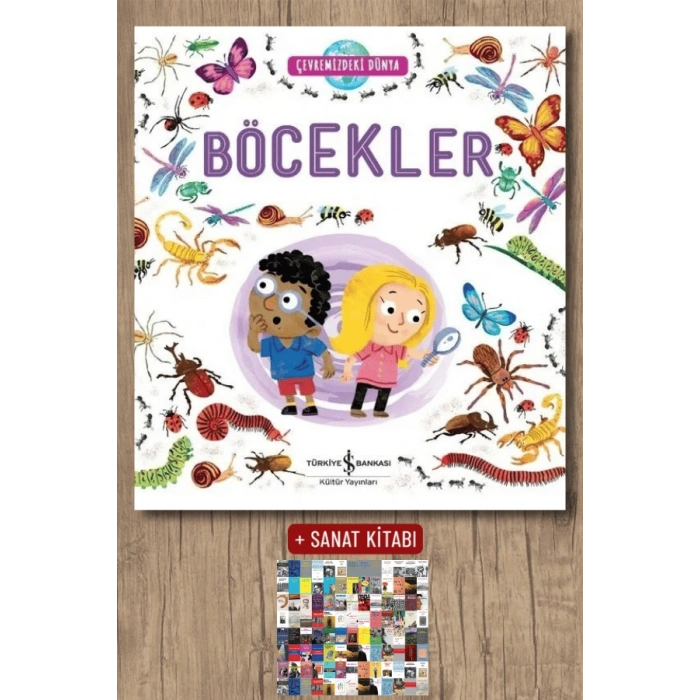 Çevremizdeki Dünya - Böcekler